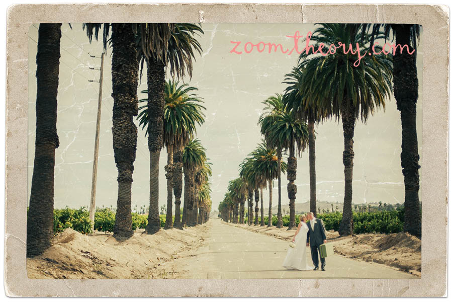 Orange Grove Wedding Citrus State Historic Park Zoom Theory