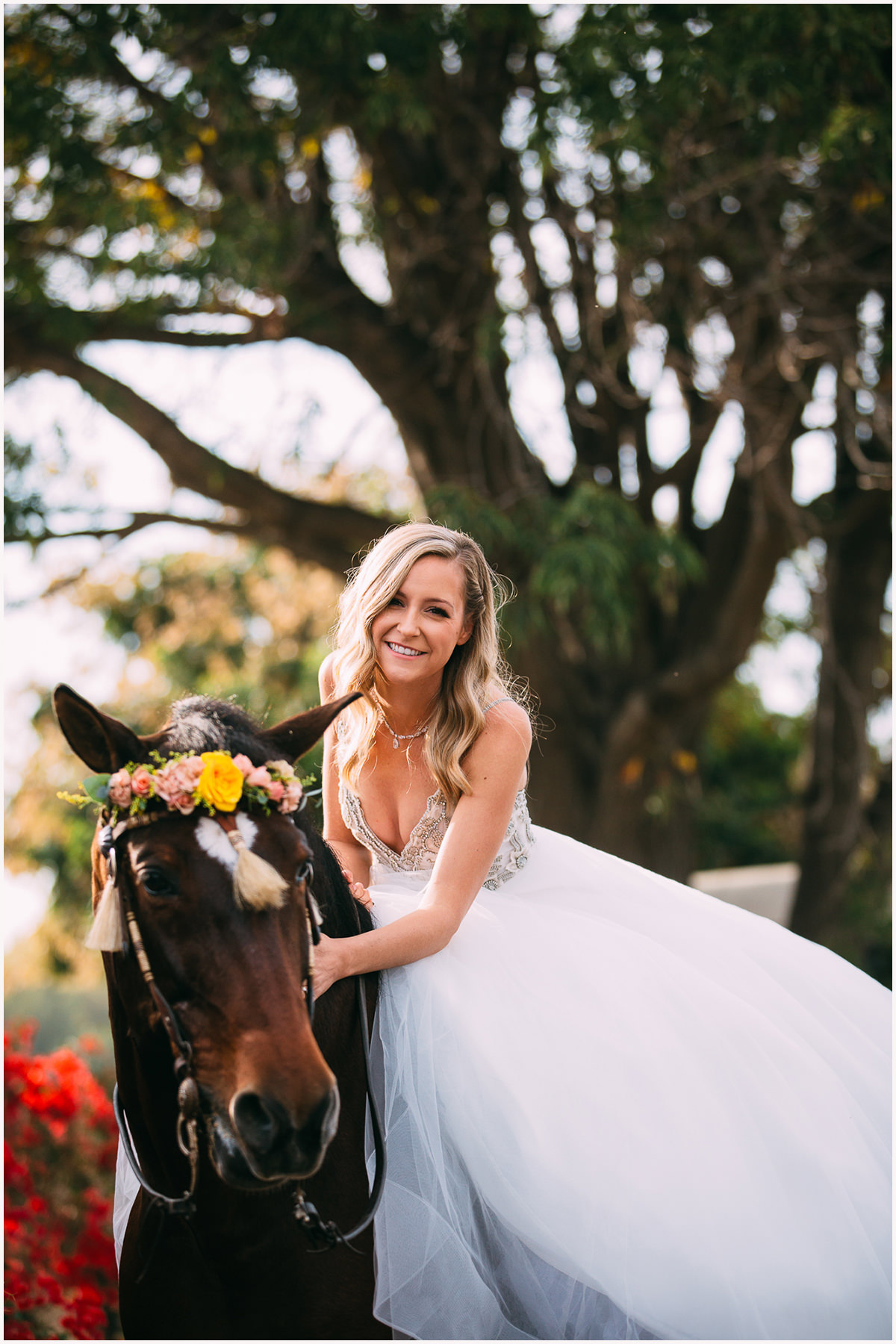 Red Horse Barn Wedding Zoom Theory
