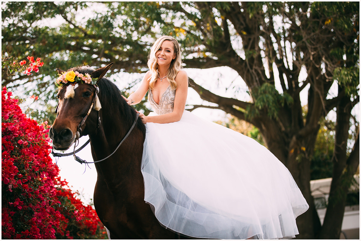 Red Horse Barn Wedding Zoom Theory